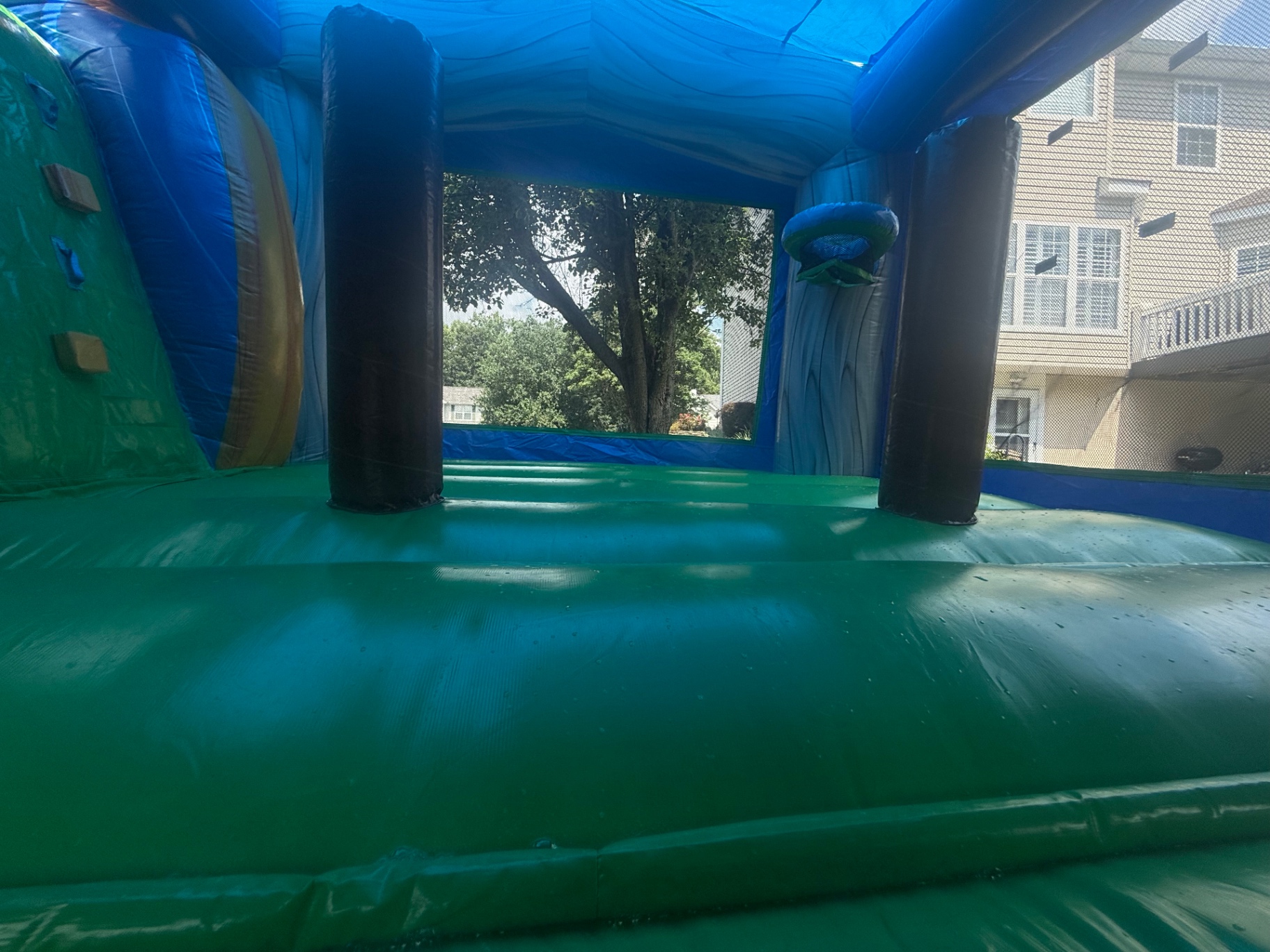 T-Rex Dinosaur Water Slide Bounce House Combo Rental photo 7