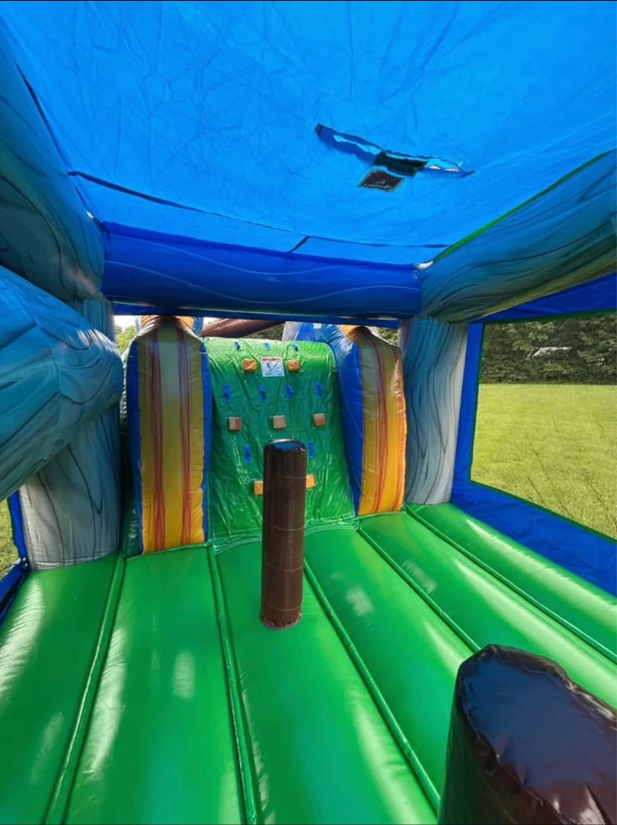 T-Rex Dinosaur Water Slide Bounce House Combo Rental photo 5